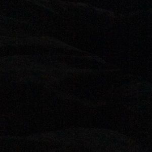 Meet your Posher, Brenlee